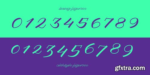 Katana Font Family - 5 Fonts