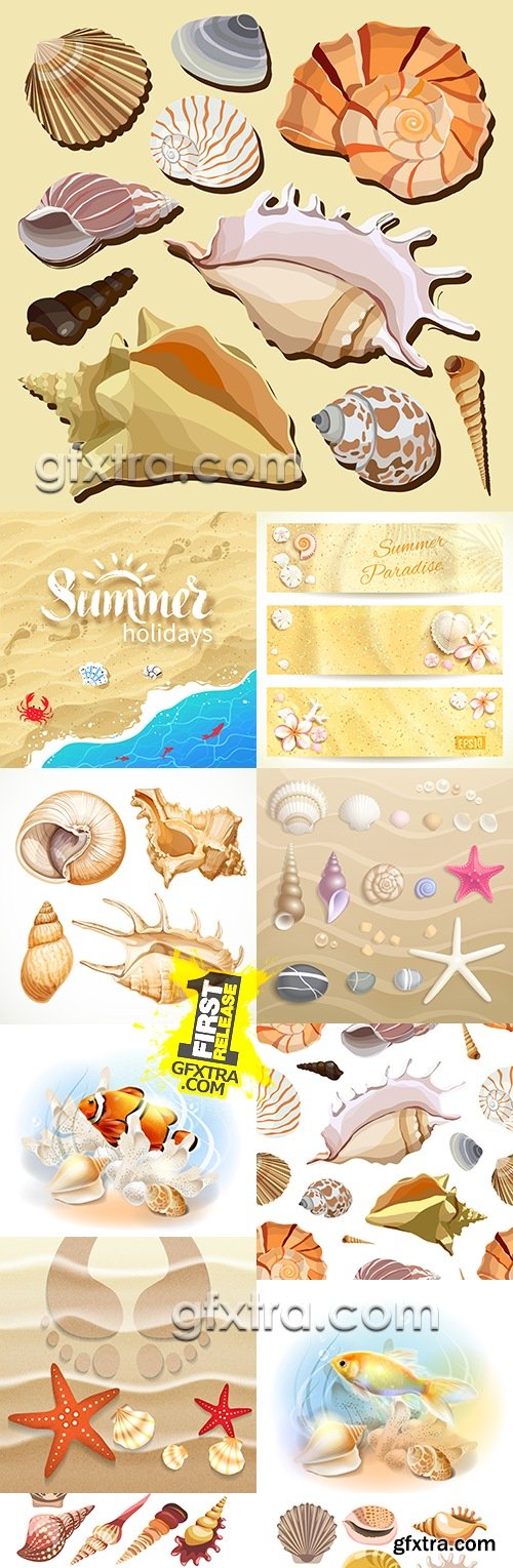 Summer sandy beach starfishes and beautiful shells