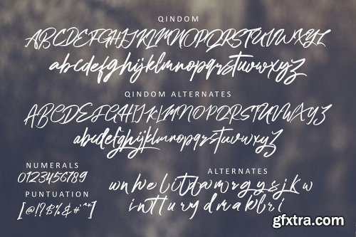 Qindom Brush Typeface Font Family - 2 Fonts