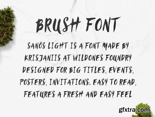 San?s Brush Script Font