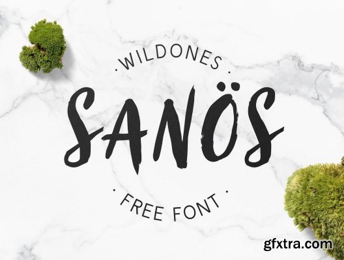 San?s Brush Script Font