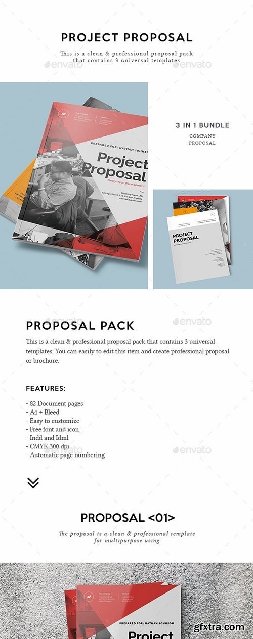 GraphicRiver - Proposal Bundle 17405358