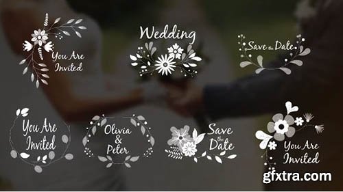 7 Wedding Ornaments With Flowers - After Effects 94557