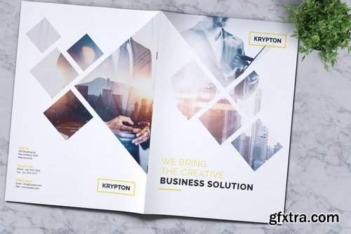 Krypton  Corporate Business Brochure