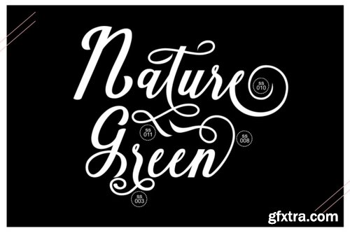 Natural Script Font