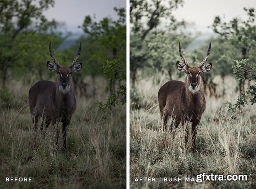 Hilvees X Eljackson AFRICA Lightroom Presets