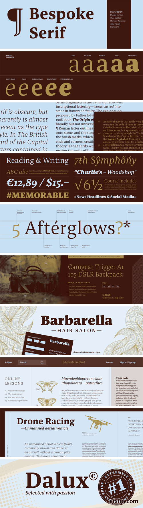 Bespoke Serif Font Family