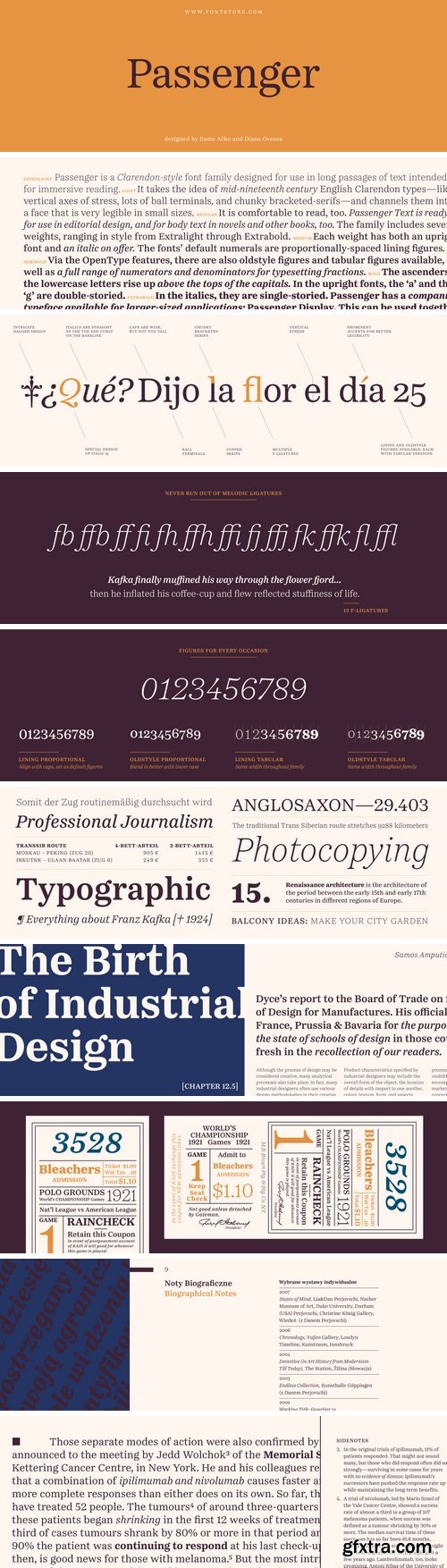 Passenger Serif Font Family - 14 Fonts