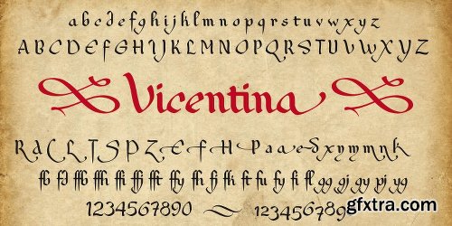 Vicentina Font