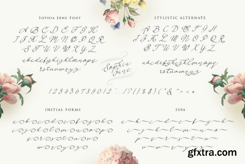 Sophia Jane Script Font Family - 2 Fonts