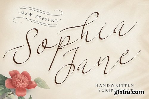 Sophia Jane Script Font Family - 2 Fonts