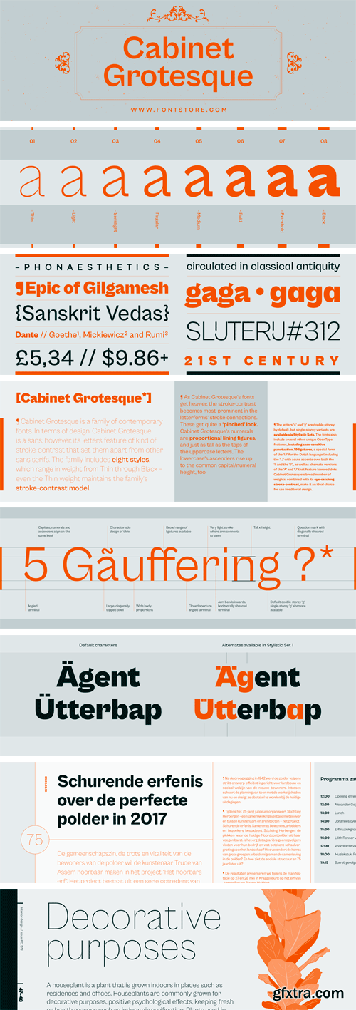 Cabinet Grotesque Font Family