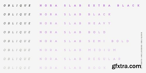 Nora Slab Font Family - 16 FONTS