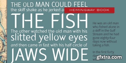 Hemingway Font Family- 9 Fonts