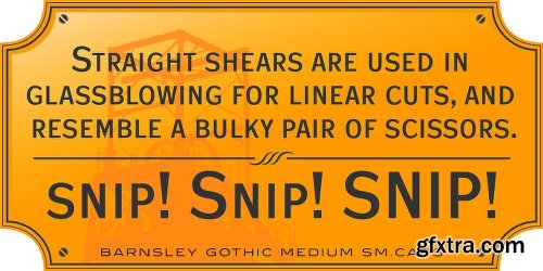 Barnsley Gothic Font Family- 9 Fonts