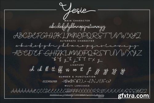 Yesie Script Font