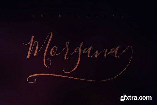 Morgana Script Font Family - 2 Fonts