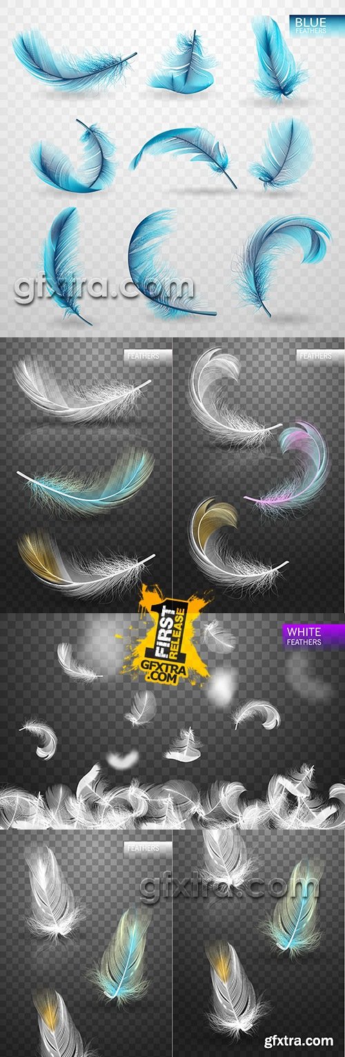 Realistic decorative color and white feather design set