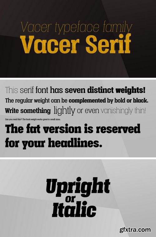 Vacer Serif Font Family - 14 Fonts