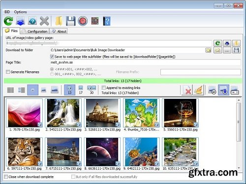 Bulk Image Downloader 5.27.0 Multilingual