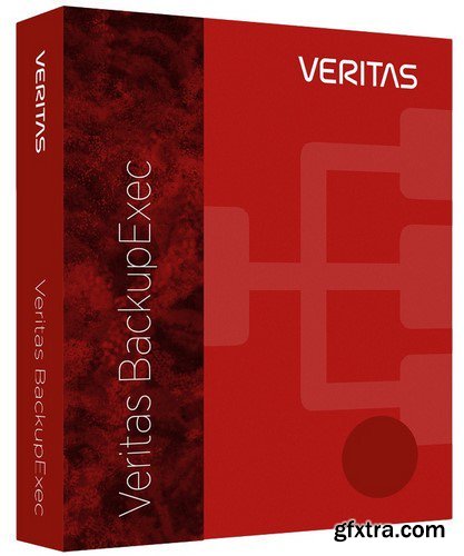 Veritas Backup Exec 20.2.1188.1650