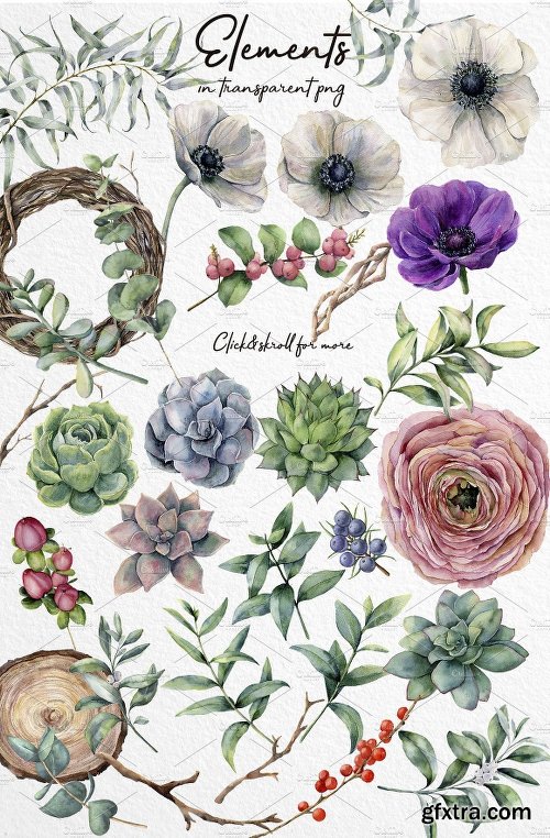 CreativeMarket White&Green Watercolor Anemone Set 2537741