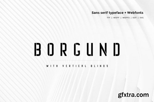 Borgund Blinds - Modern Typeface + WebFont