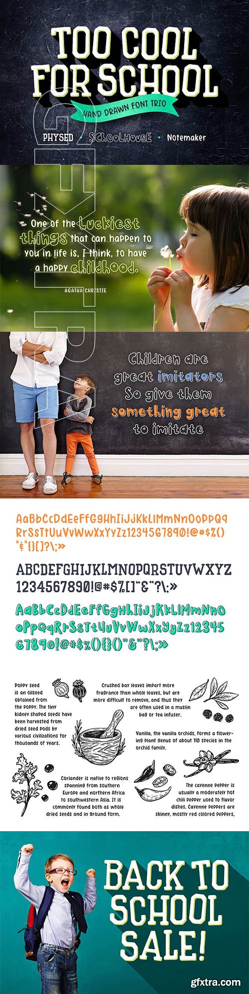 CreativeMarket - Too Cool for School Font Trio 2836843