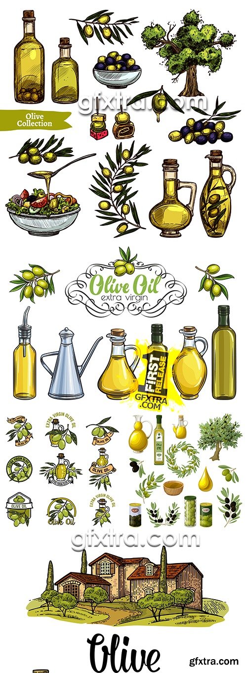 Olive oil and branch an olive sketch vector illustrations