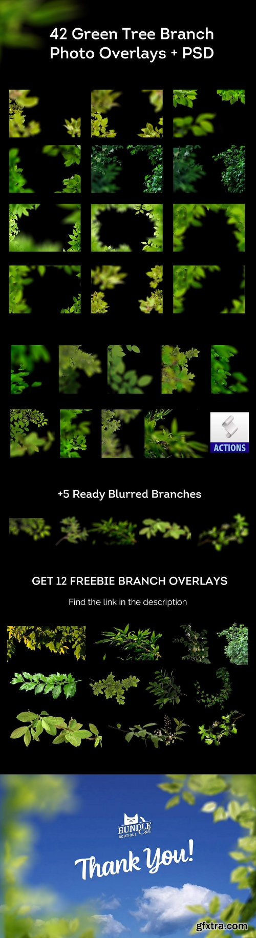 CreativeMarket 42 Green Tree Branch Photo Overlays 2546647