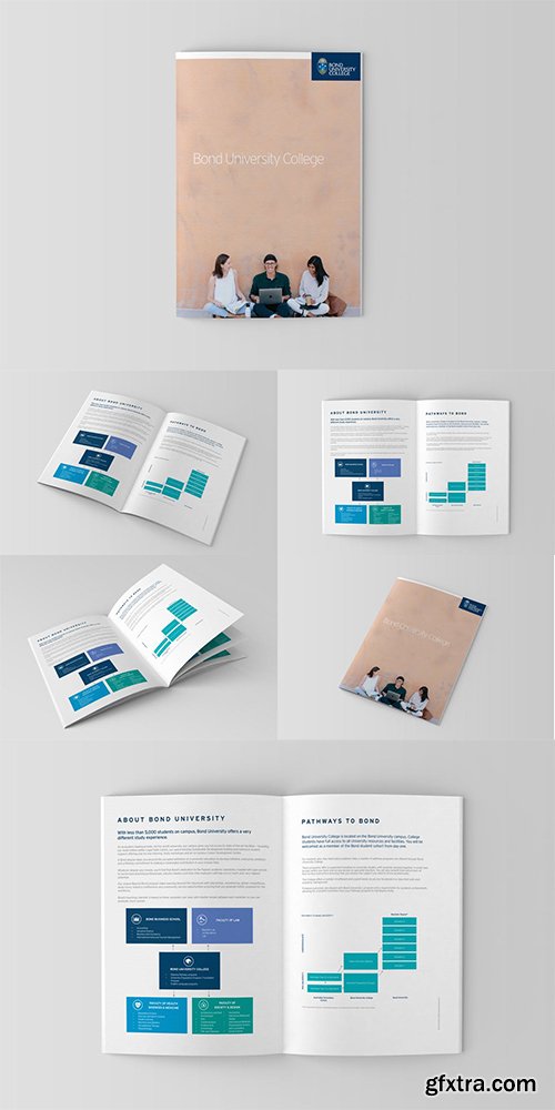 Brochure and Catalog Mockups