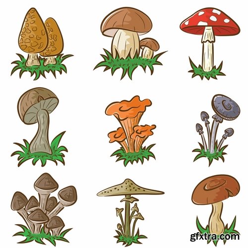 Mushrooms and fungi of different species breed class poisonous edible 25 EPS