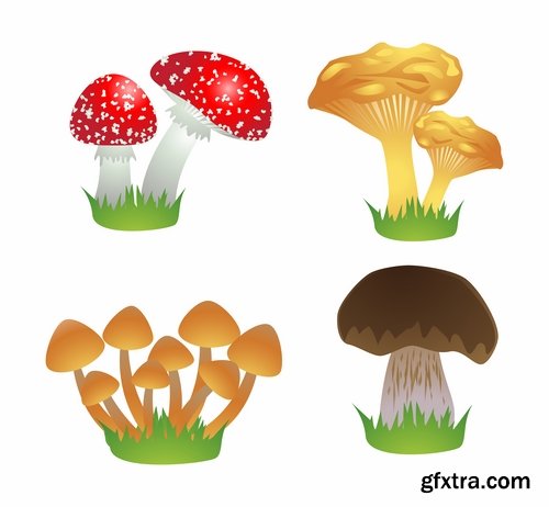 Mushrooms and fungi of different species breed class poisonous edible 25 EPS