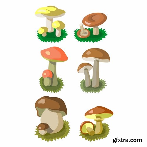 Mushrooms and fungi of different species breed class poisonous edible 25 EPS