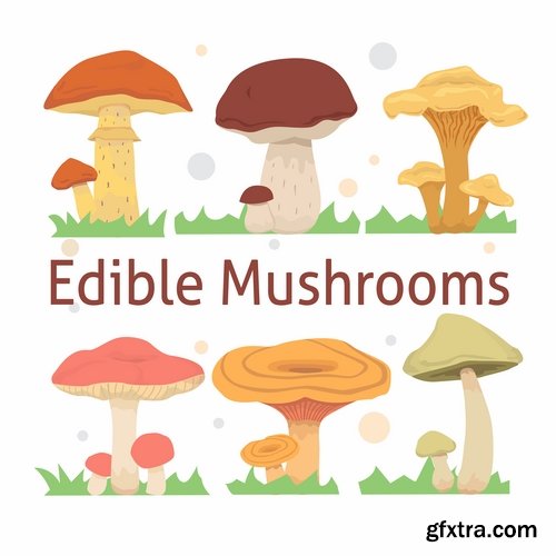 Mushrooms and fungi of different species breed class poisonous edible 25 EPS