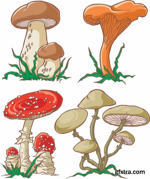 Mushrooms and fungi of different species breed class poisonous edible 25 EPS