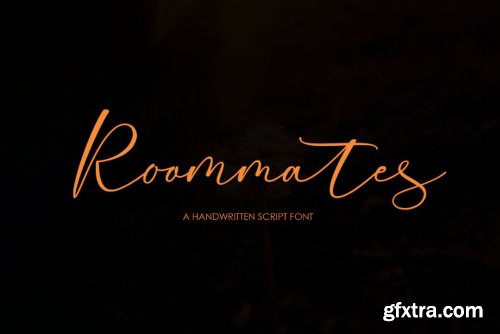 Roommates Script Font Family - 2 Fonts