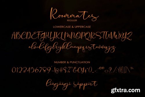 Roommates Script Font Family - 2 Fonts