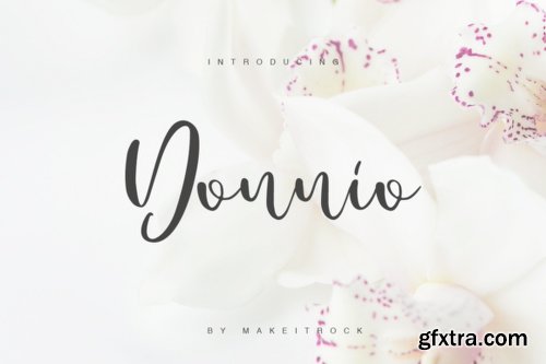 Donnio Font