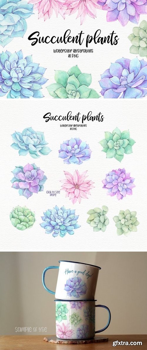 CM - Succulent plants. Watercolor set 2196092