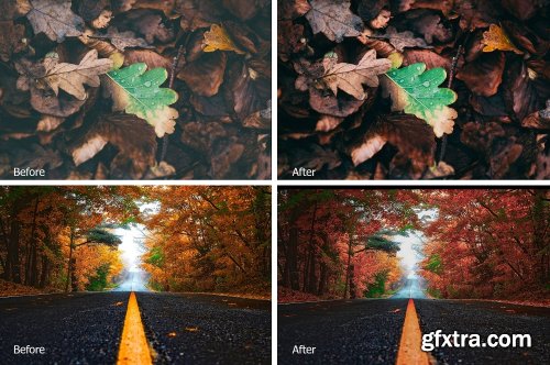 CreativeMarket 4 Seasons Lr Presets 2858283