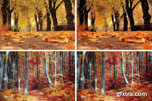 CreativeMarket 4 Seasons Lr Presets 2858283