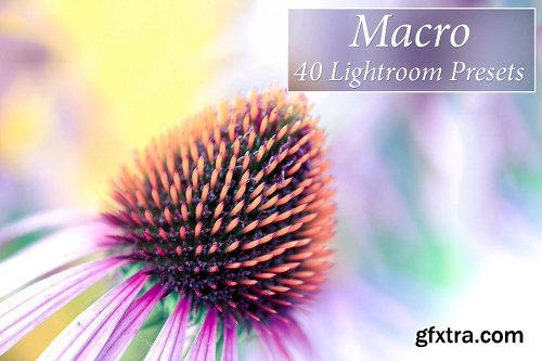 CreativeMarket [97% OFF] 1001 Lightroom Collection 2820453