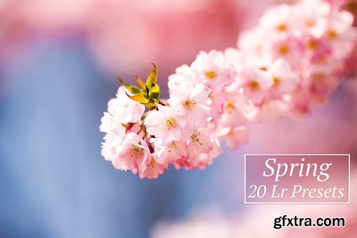 CreativeMarket [97% OFF] 1001 Lightroom Collection 2820453