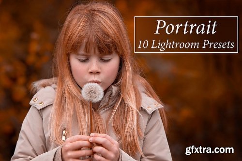 CreativeMarket [97% OFF] 1001 Lightroom Collection 2820453