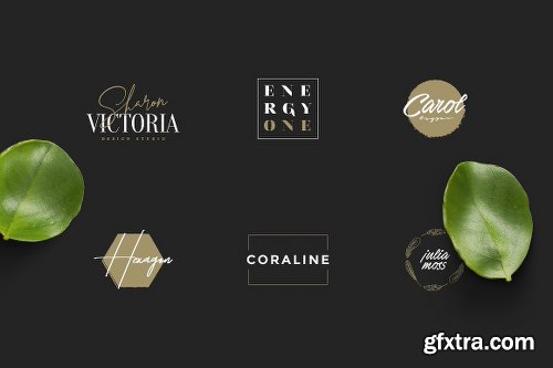 CreativeMarket 50 Feminine Luxury Logos 2719901