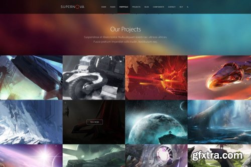 CreativeMarket ENTIRE SHOP THEME BUNDLE 1766954