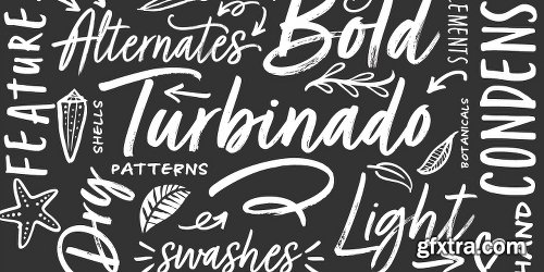 Turbinado Font Family - 10 Fonts