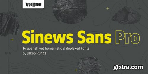 Sinews Sans Pro Font Family - 15 Fonts