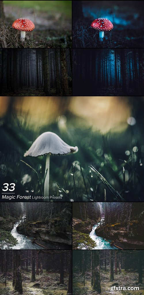 33 Magic Forest Lightroom Presets